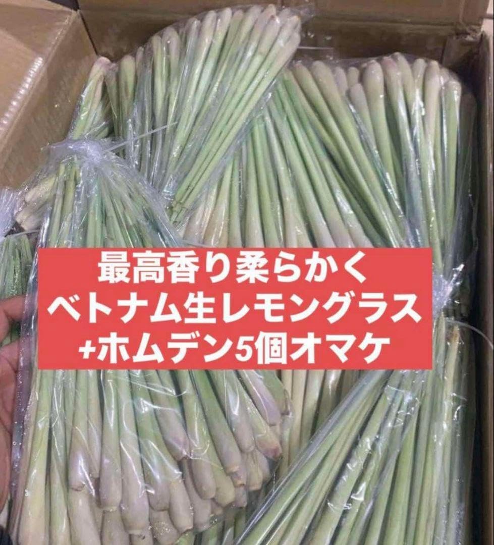 セットレモングラス200gコブミカン葉30gパンダンリーフ5 枚ホムデン