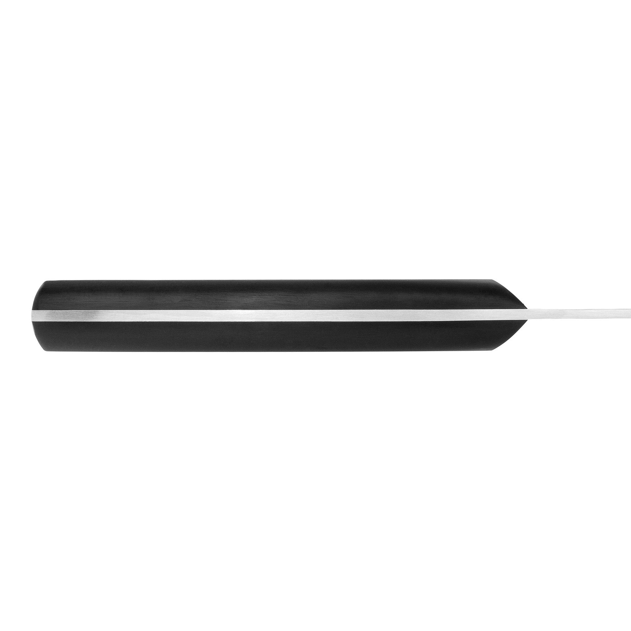 ZWILLING Spelucchino, Lunghezza lama: 10 cm, Lama Stretta, Acciaio Inox /Impugnatura in Plastica, Twin Pollux