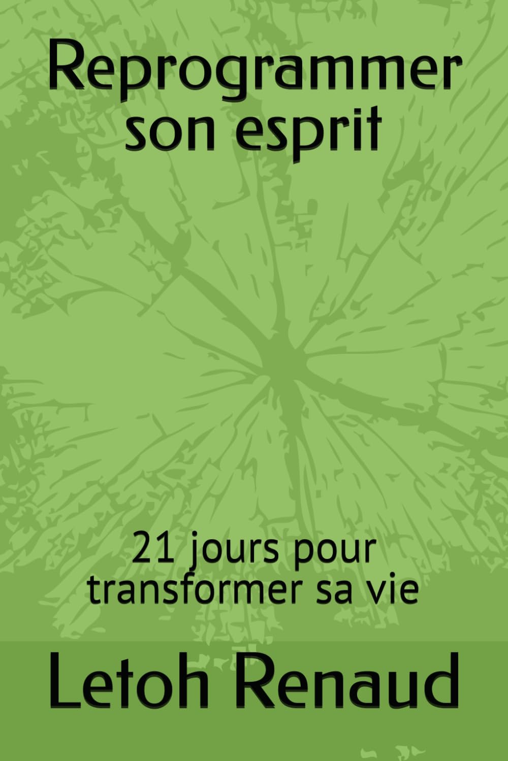 Reprogrammer son esprit: 21 jours pour transformer sa vie