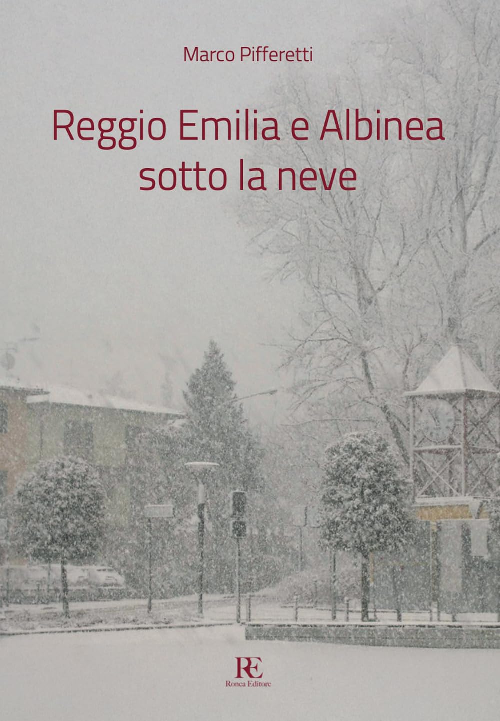 Reggio Emilia E Albinea Sotto La Neve - 4