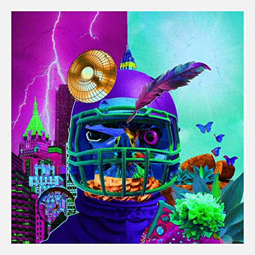 フカのサムネイル