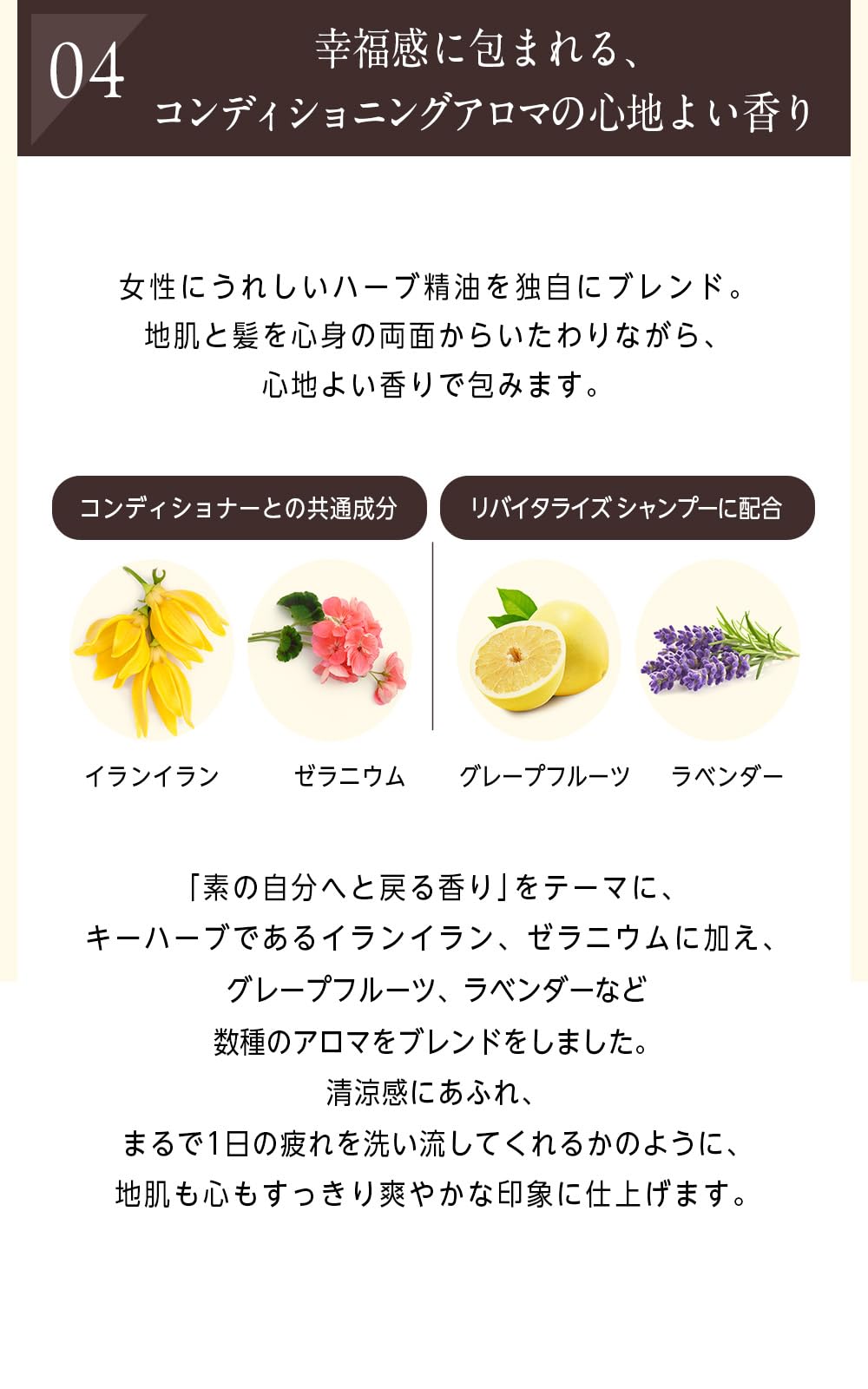 Amazon | サントリー enherb リバイタライズ シャンプー ノンシリコン
