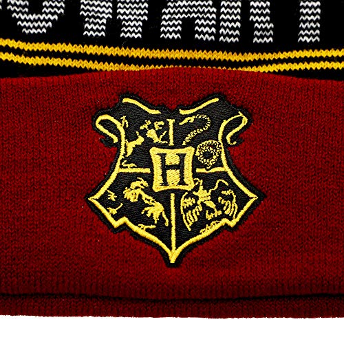 Gorro y bufanda de Harry Potter Hogwarts el regalo ideal 4