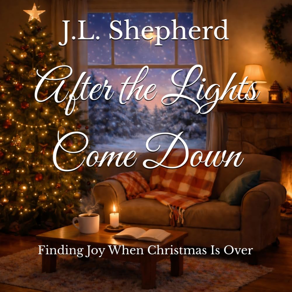 After the Lights Come Down: Finding Joy When Christmas Is Over (Faith for Every Season)