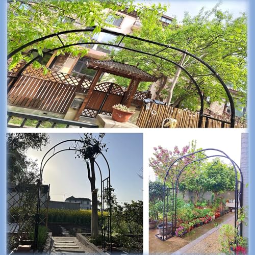 Pergola pour support de plantes grimpantes avec structure métallique - 6