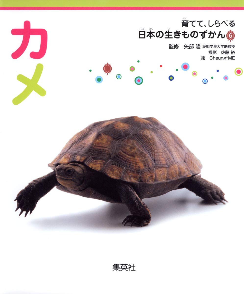 育てて、しらべる 日本の生きものずかん 6 カメ | 矢部 隆, 佐藤 裕