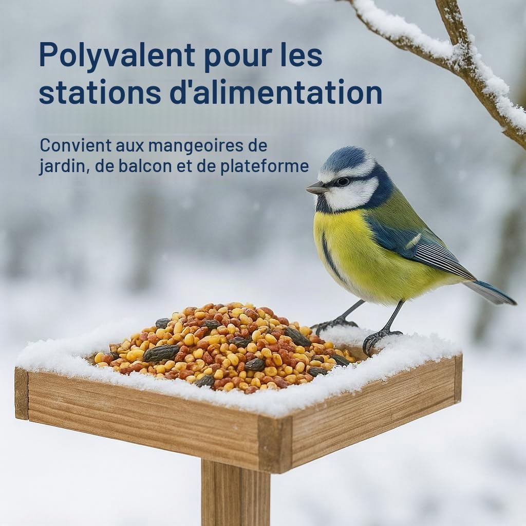 GiDeli Nourriture pour oiseaux sauvages d'hiver 30 kg – Nourriture pour oiseaux sauvages toute l'année – Nourriture pour mésanges pour jardin et balcon avec graines de lin riches en oméga-3, calcium