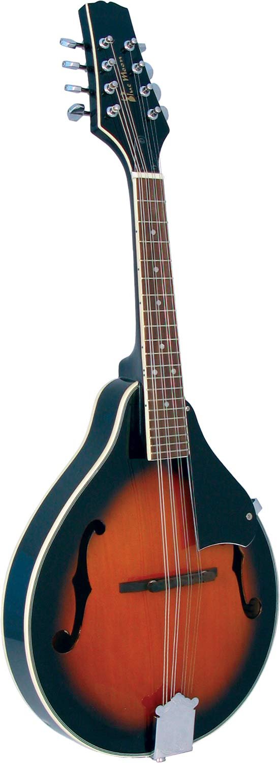 gui1952【英国購入】Blue Moon GR3120 マンドリン Blue Moon BM-07 Mandolin : Amazon.co.uk: Musical Instruments & DJ