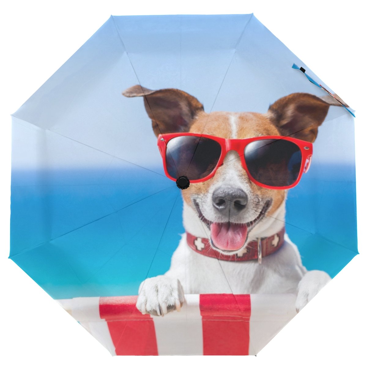 dog umbrella for sun