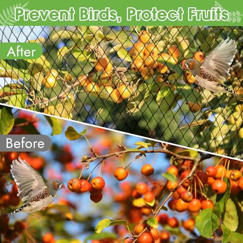 Teichnetz Feinmaschig, Vogelnetze Vogelschutznetz mit 12 Stück Bodenanker, Obstbaumnetz Laubnetz UV Beständig Schwarz für Teich Gartennetz Obstbäume Gemüse Schutznetz (2x5m)