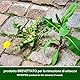 Turfmaster Urban Weed - Trockenspray, 1L Eco-Sustainable zur natürlichen Entfernung von Unkraut und unerwünschter Vegetation von Rasenflächen, Gärten, Gemüsegärten, Feldern, Büschen etc.