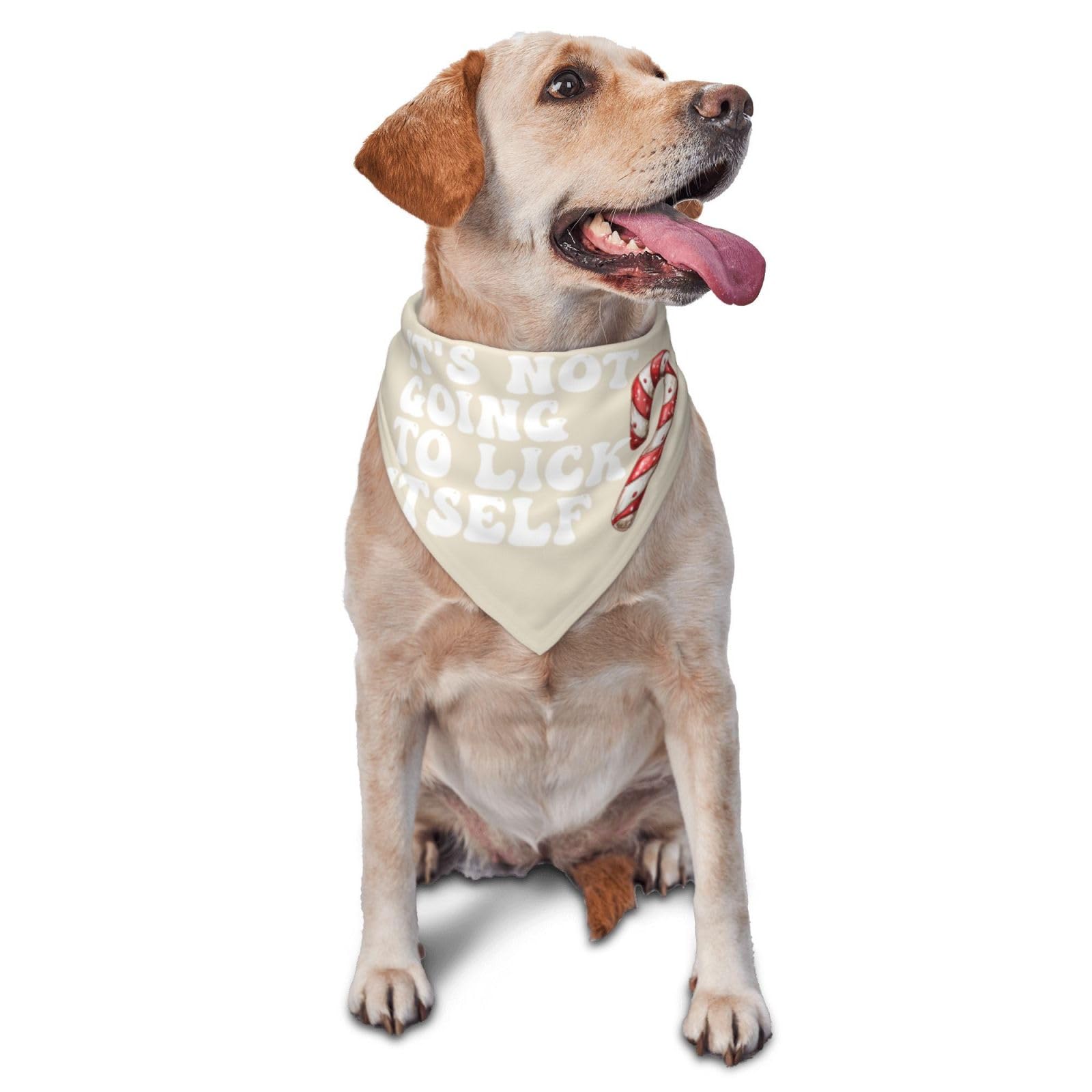 It's Not Going to Lick Itself Dog Scarf Pet Bandana Cat Pet Bibs