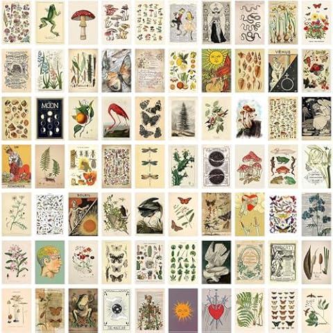 Kit de Collage BDSHUNBF 70 Pièces Cover