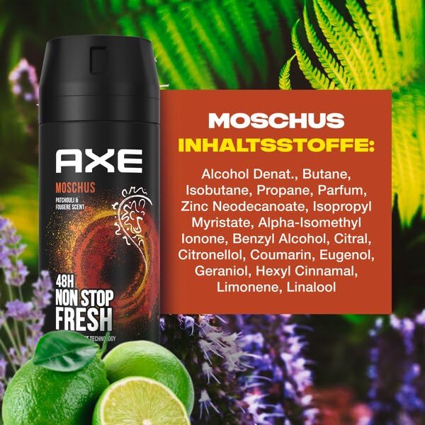 AXE Bodyspray Deo 4er Bundle in beliebten Duftrichtungen (24er Pack) | mit 6x150ml Black, 6x150ml Dark Temptation, 6x150ml Alaska, 6x150ml Moschus