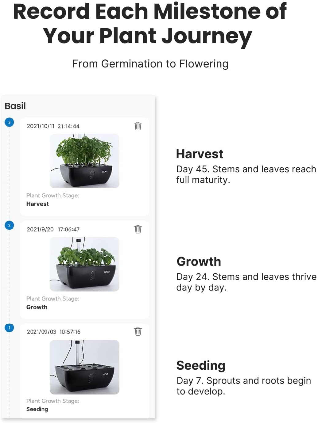 iDOO Smart Garden, Sistema de Cultivo Hidropónico con WiFi, Tanque de Agua de 6.5 L, Lámpara LED de Planta, Ventilador, 12 Vainas Huerto Interior, Altura Ajustable Jardín WiFi Inteligente