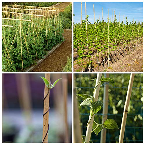 Mininfa Natural Bamboo Stakes 6 Feet, EcoFriendly Garden Stakes, Plant