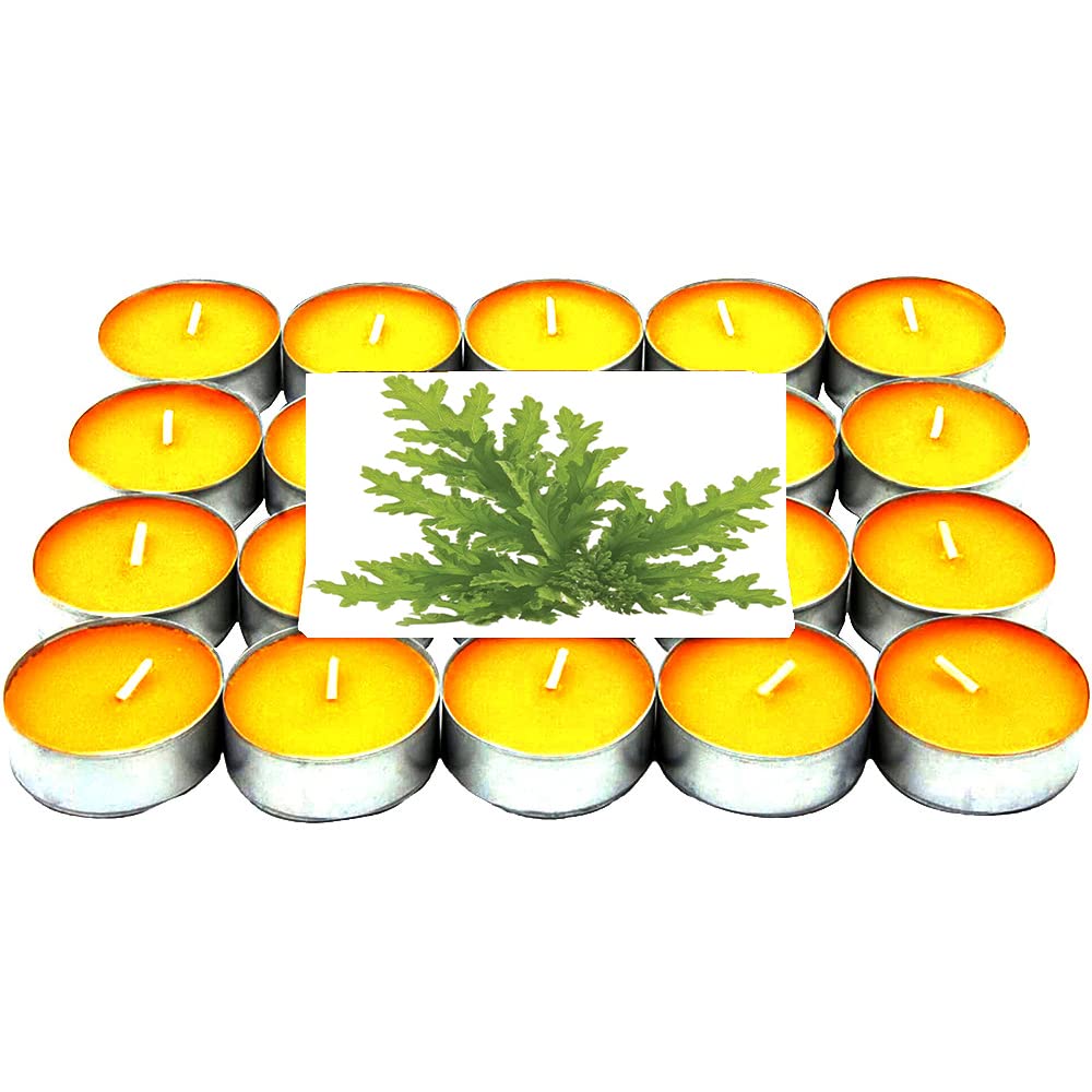 Vela de Téalights Aromáticas con perfumadas citronela 120velas ( PLUS HOME )