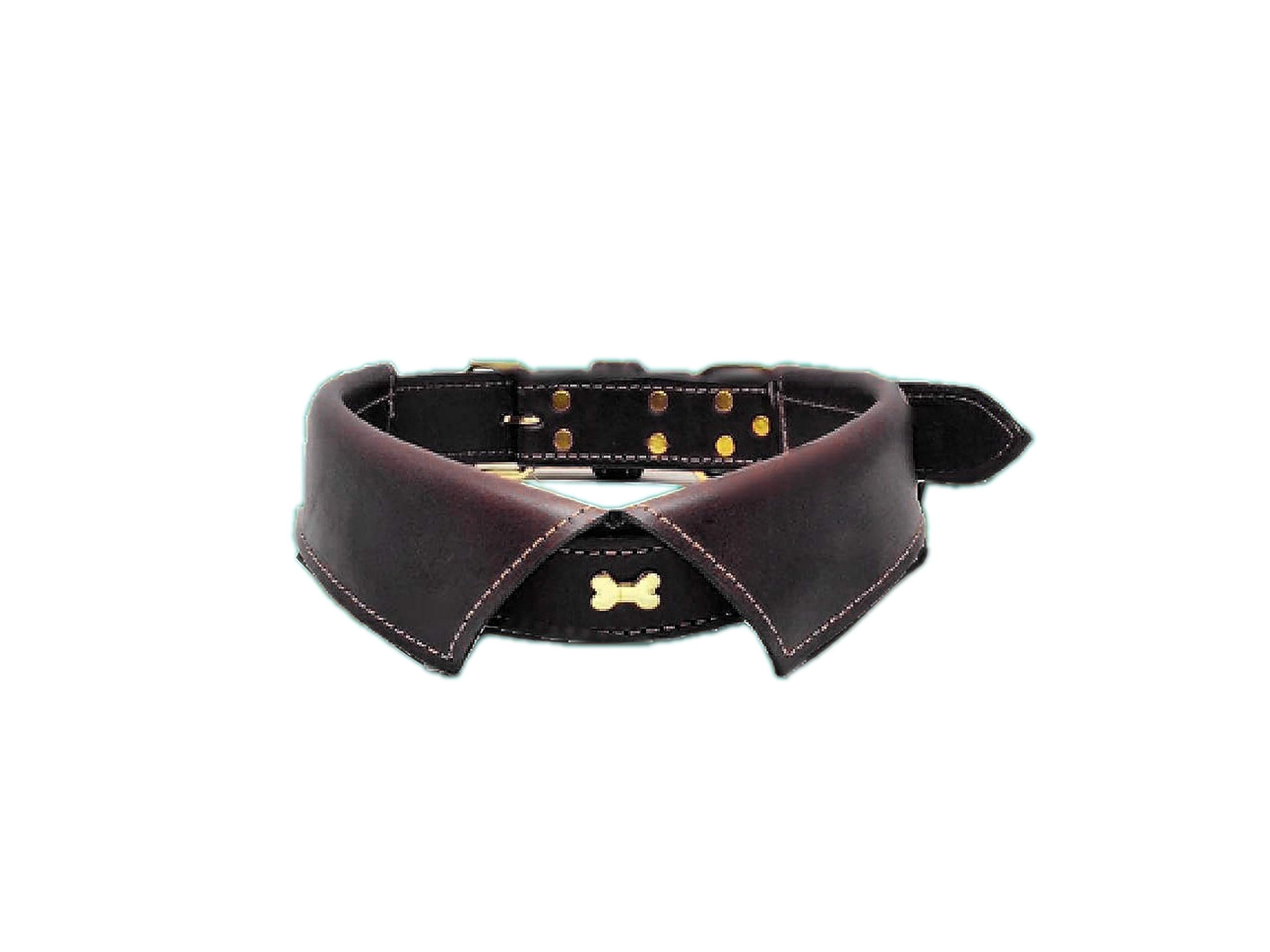 Fetch Premium Fancy and Cute Leather Collar for Dogs, Neck Belt (Dark Brown) (B0CG6CHVQD) Amazon Price History, Amazon Price Tracker