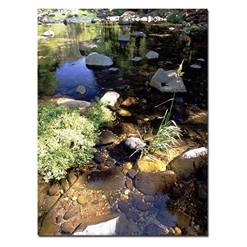 Oak Creek, Sedona, AZ by Kurt Shaffer, 24x32-Inch Canvas Wall Art