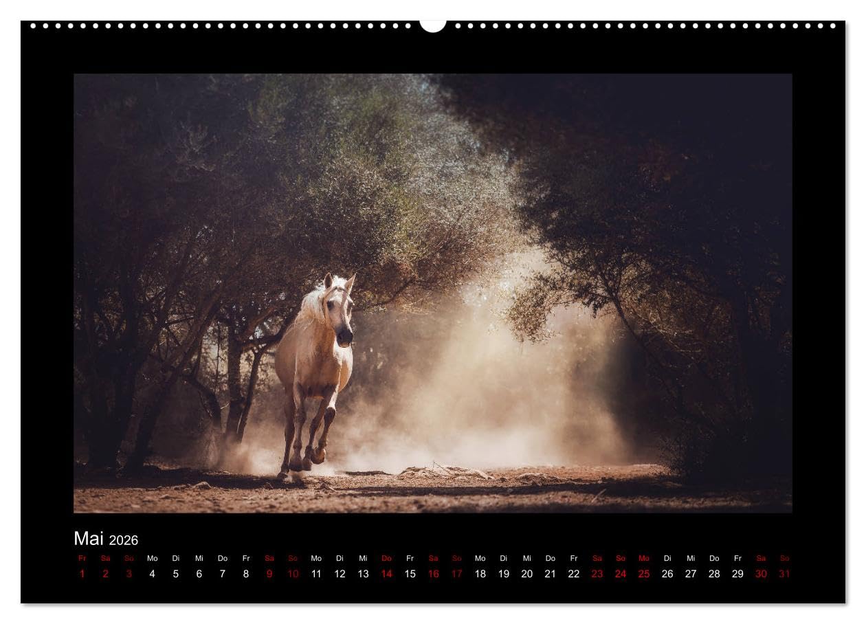 Die Faszinierende Welt der Pferde (Wandkalender 2026 DIN A2 quer), CALVENDO Monatskalender: Lassen Sie sich entführen in die Faszinierende Welt der Pferde (CALVENDO Tiere)