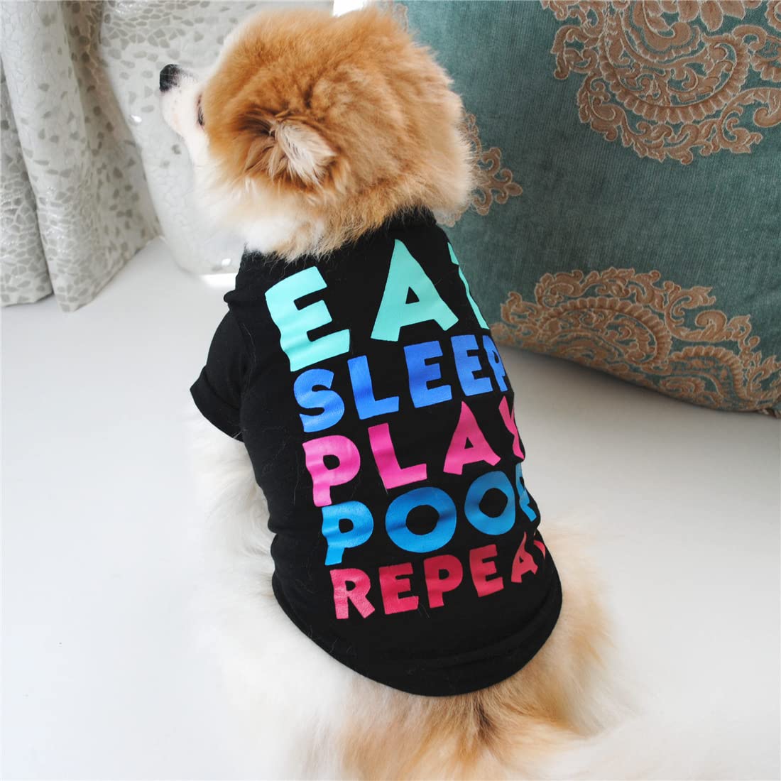 KUTKUT EAT Sleep Play Pattern Small Dogs Cats Puppy T-Shirt | Cute Pet Cotton Sweatshirt for Small Pups Kittens Maltese, Chiuhuahua, Yorkshire, Cats etc (Size: S, Chest: 35cm, Back Length: 25cm) (B0CVDZS3HJ) Amazon Price History, Amazon Price Tracker