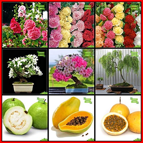 Creative Farmer Combo Plant Seeds Amazon.in Garden & Outdoors