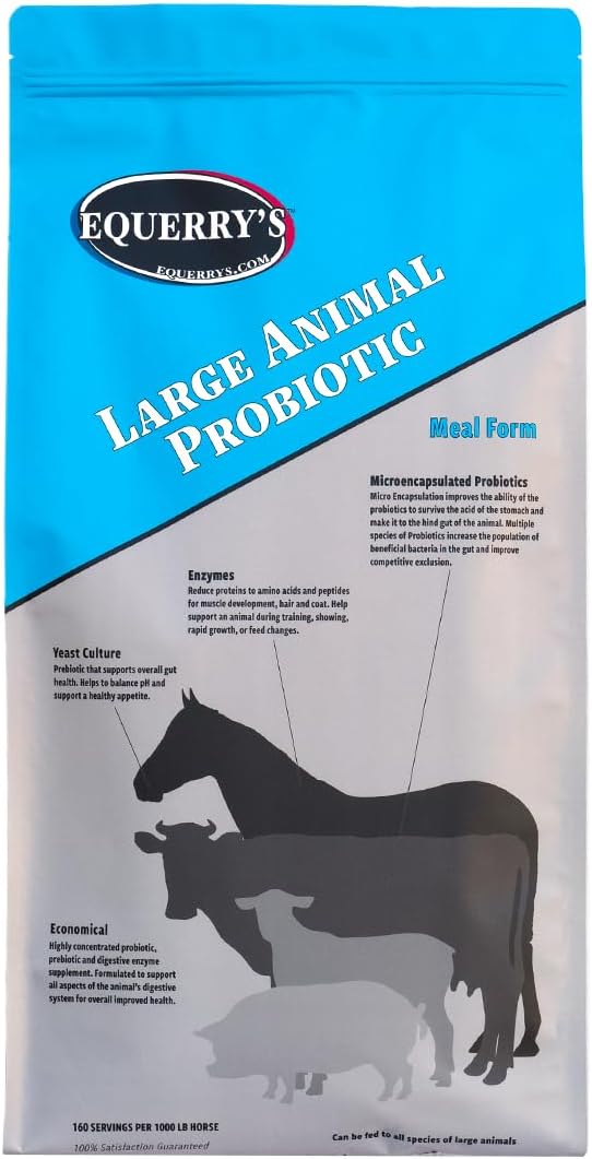 Equerry’s Large Animal Probiotic | Supplements for Gut Health and Nutrient Absorption | Probiotics and Digestive enzymes for Horses, Cows, Goats, Sheep, Pigs, 160 Feedings (20lbs) for 1000 lb Animal