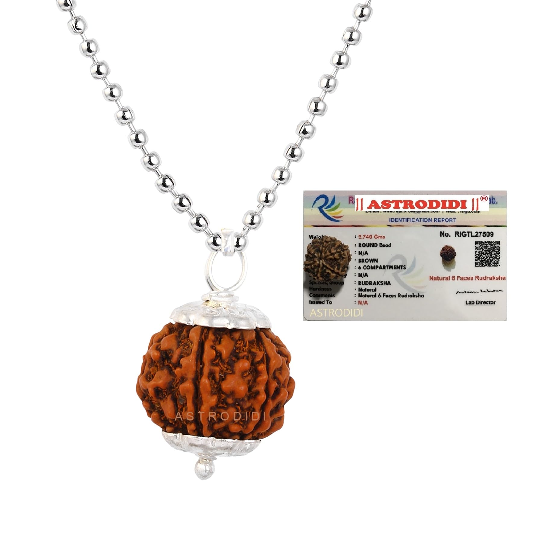 6 Mukhi Six Face Nepali Rudraksha Pendant Locket With White Metal Capping and Chain for Men and Women-image-28