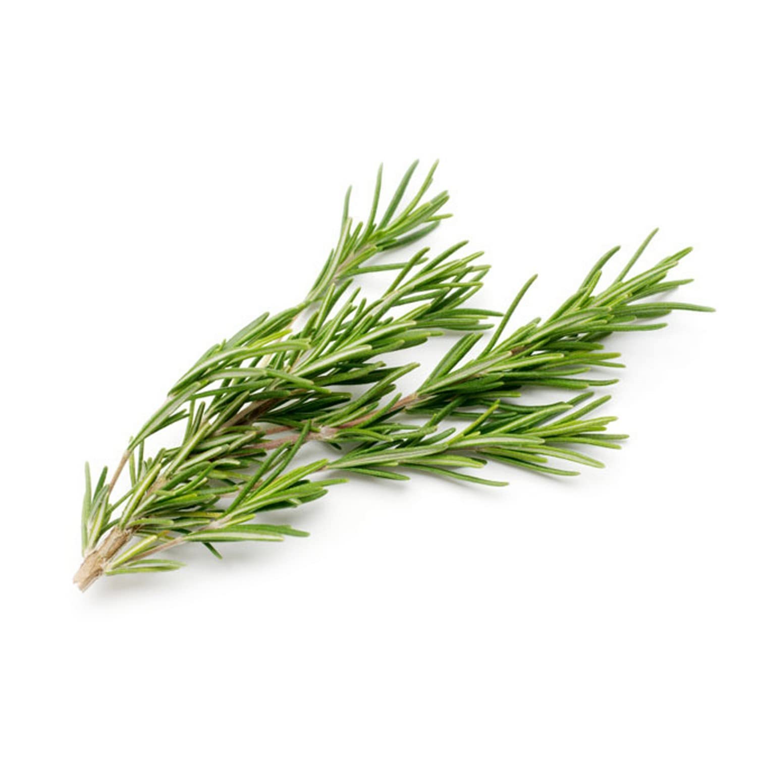 Rosemary Italy 20 grams