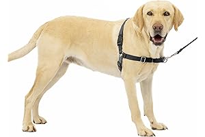 Rover Gear Better Walk No-Pull Dog Harness