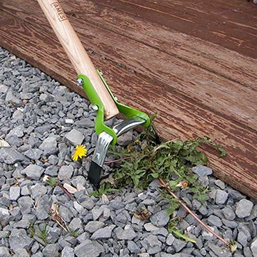 AMES 2825800 Action Hoe with Hardwood Handle, 58-Inch