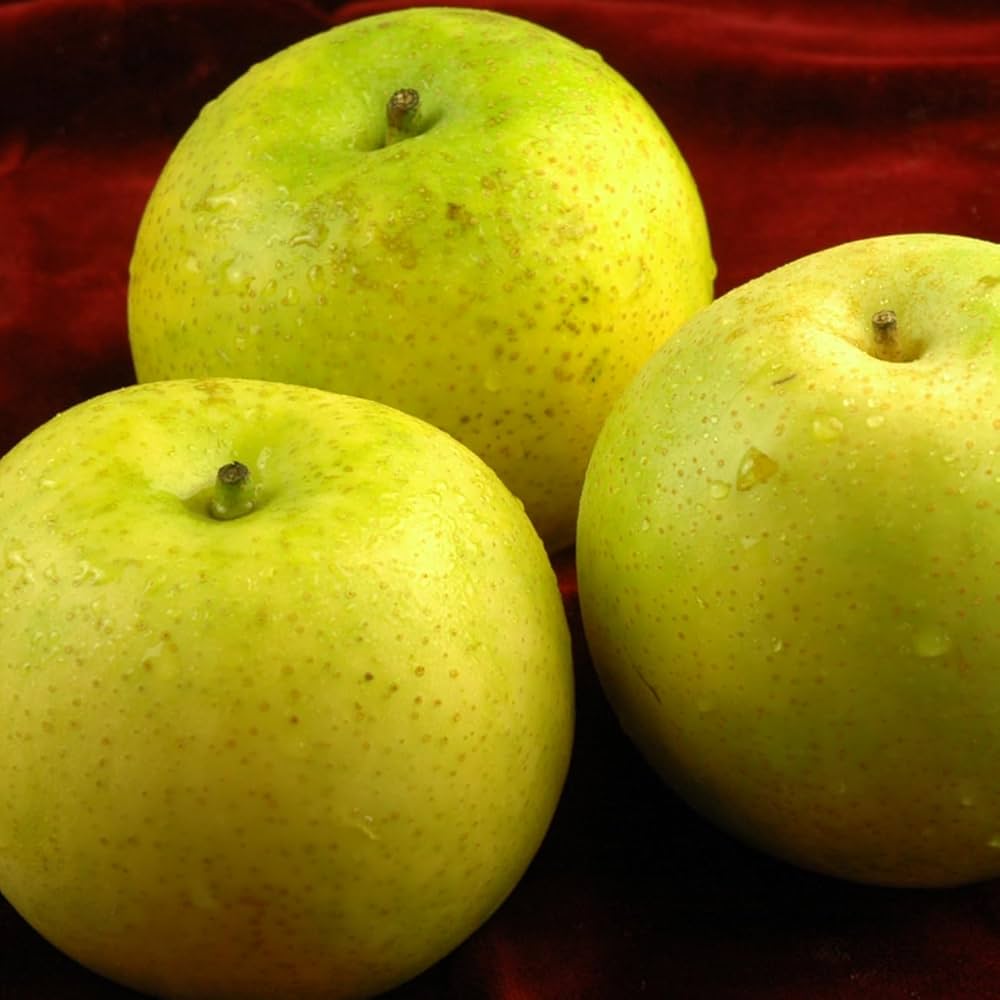 Amazon.co.jp: 風味絶佳.山陰 あいみ燦ゴールド（ゴールド二十