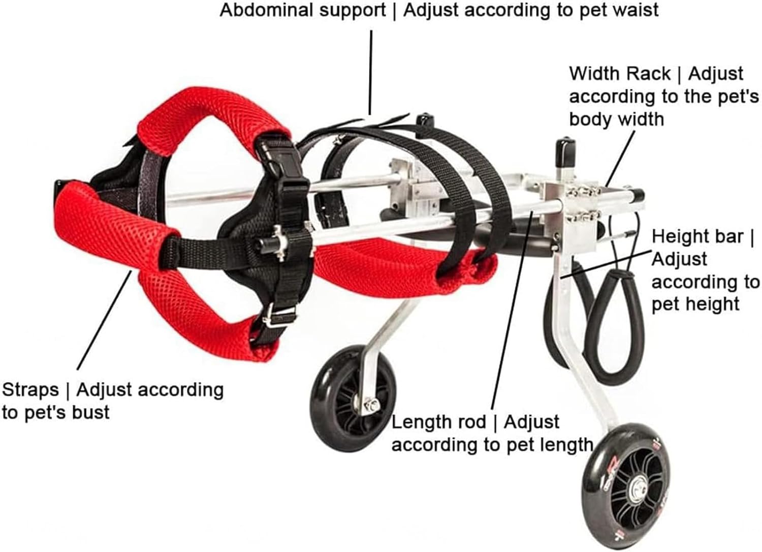 Adjustable Small Dog Wheelchair for Back Legs - 2-Wheel Full Support Mobility Aid for Paralyzed Pets - Recovery Solution for XXS Dogs (Color: M)