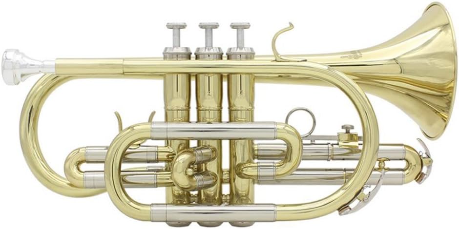 YIJU Exquisite Golden Bb Cornet Brass Instrument Set for Students Beginners : Musical Instruments