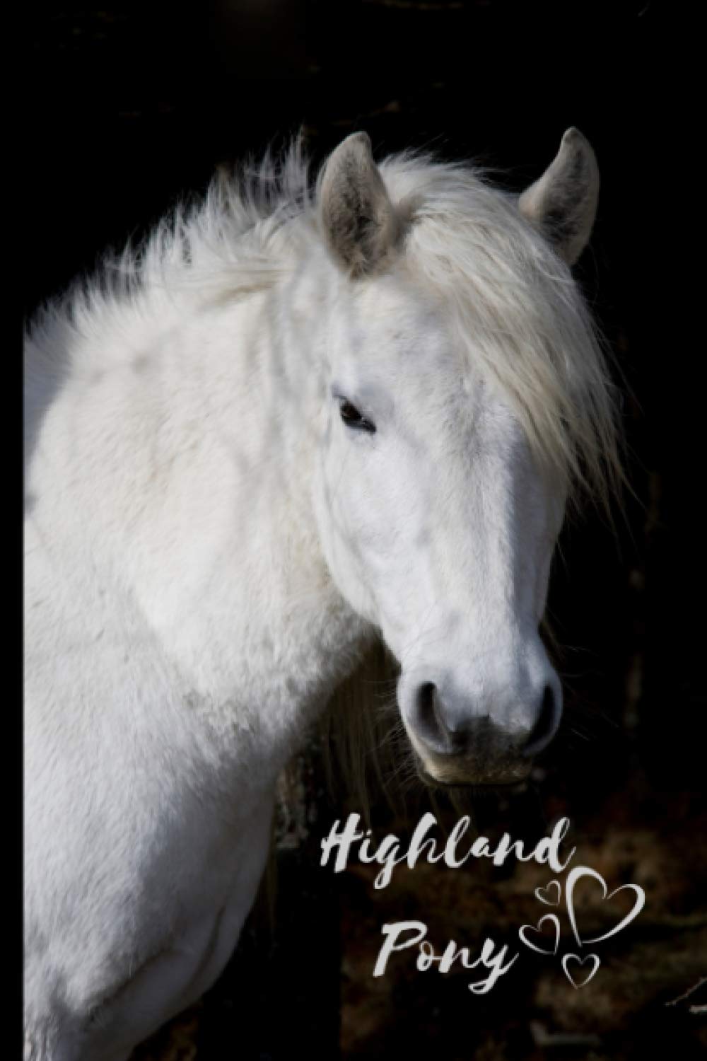Highland Pony Notebook: Composition Notebook 6x9" Blank Lined Journal