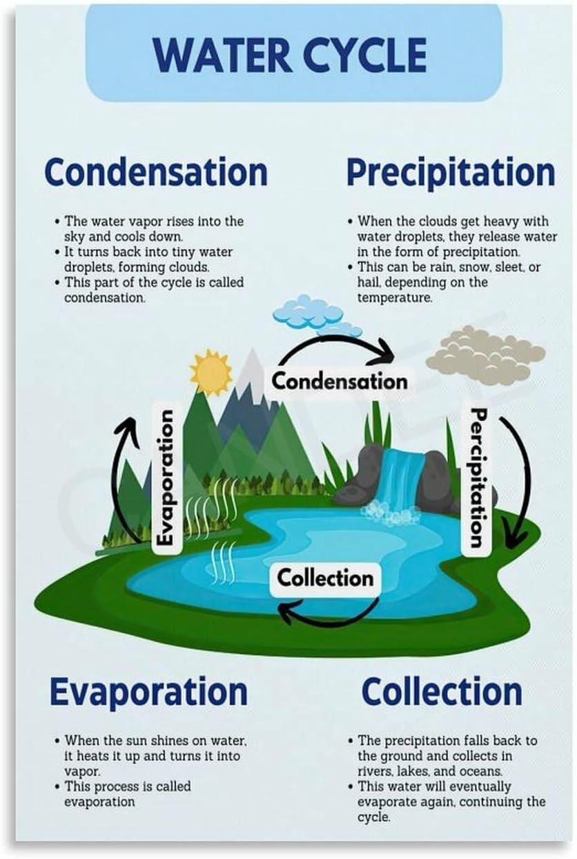 Water Cycle Science Poster - Educational Earth Science Chart for Classroom Wall, Homeschool & Teacher Supplies Decor(Framed,12x18inch(30x45cm))