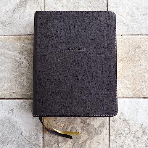 nrsvue holy bible with apocrypha journal edition leathersoft black comfort print