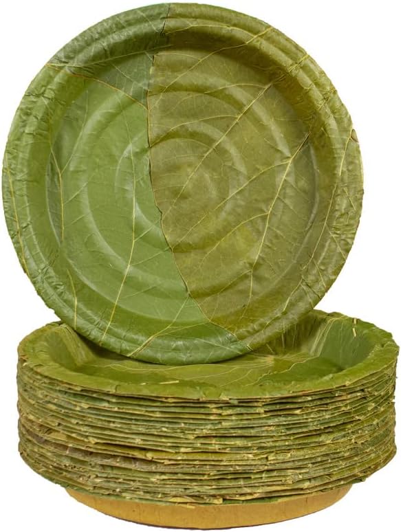 Healthy Edible's, Disposable Siali Leaf Plates (with Corrugated Sheets), Small, 7 inch, Set of 25 (Green)