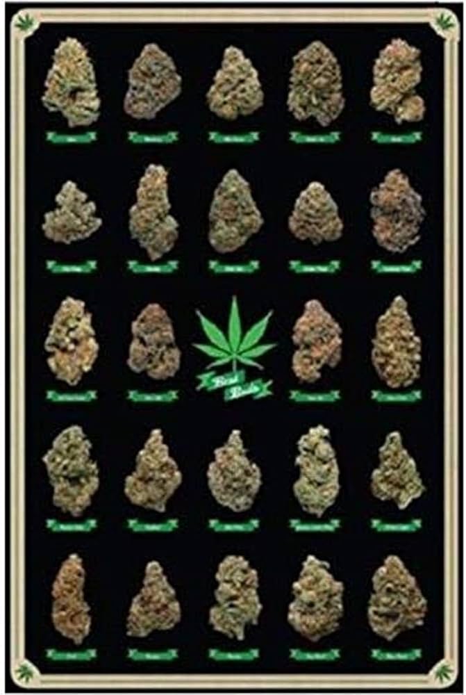 Amazon.co.jp: Buyartforless Best Buds 教育用大麻 マリファナ
