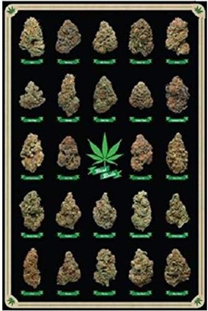 油絵 麻 大麻 マリファナ バッヅ marijuana 値下げ 油絵 麻 大麻