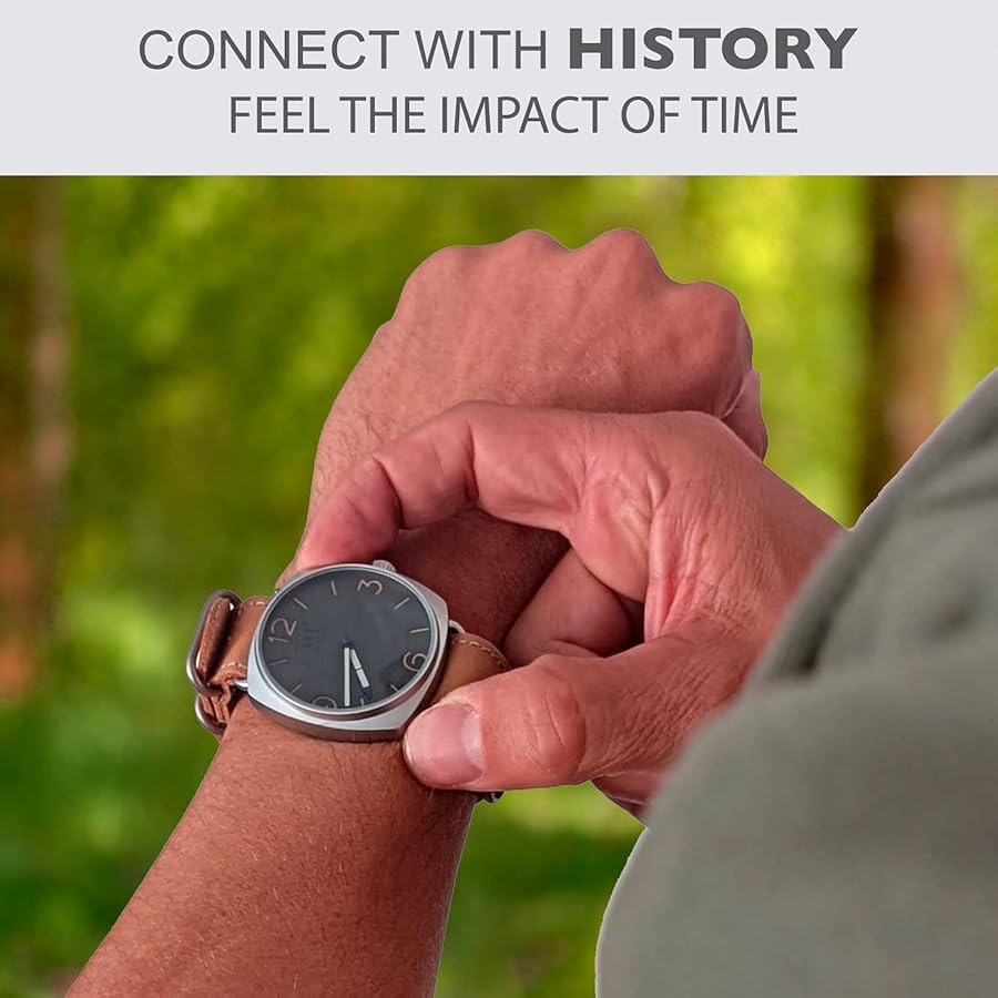 SMグラフ コレクター