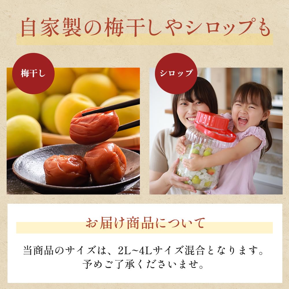 Amazon.co.jp: 和歌山県産 青梅 南高梅 秀品 もりもとや特選 3kg （2L
