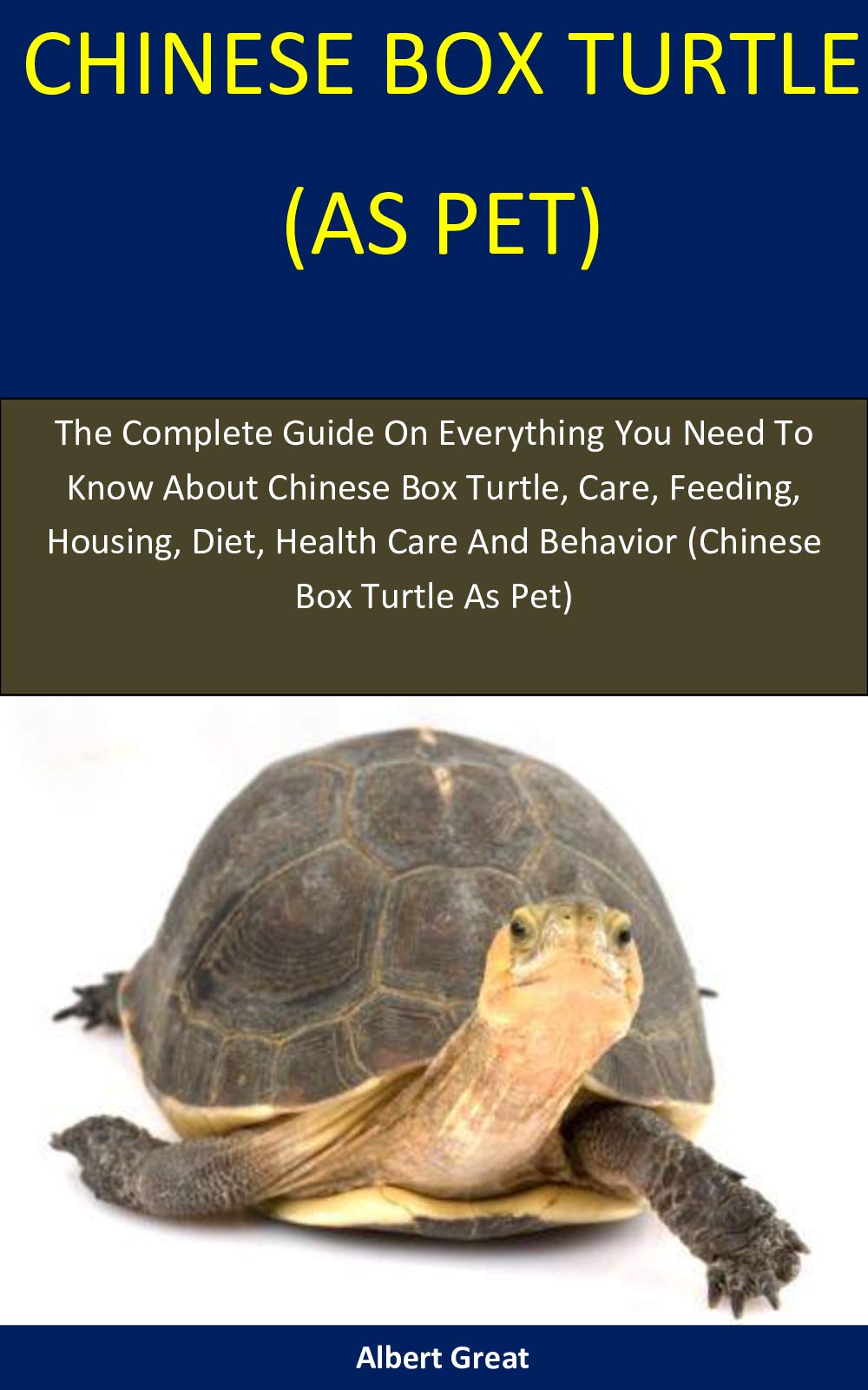 Buy Chinese Box Turtle As Pet The Complete Guide On Everything You
