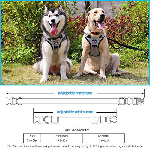 PENGDA Pettorina per Cane Senza Tiro Imbracatura