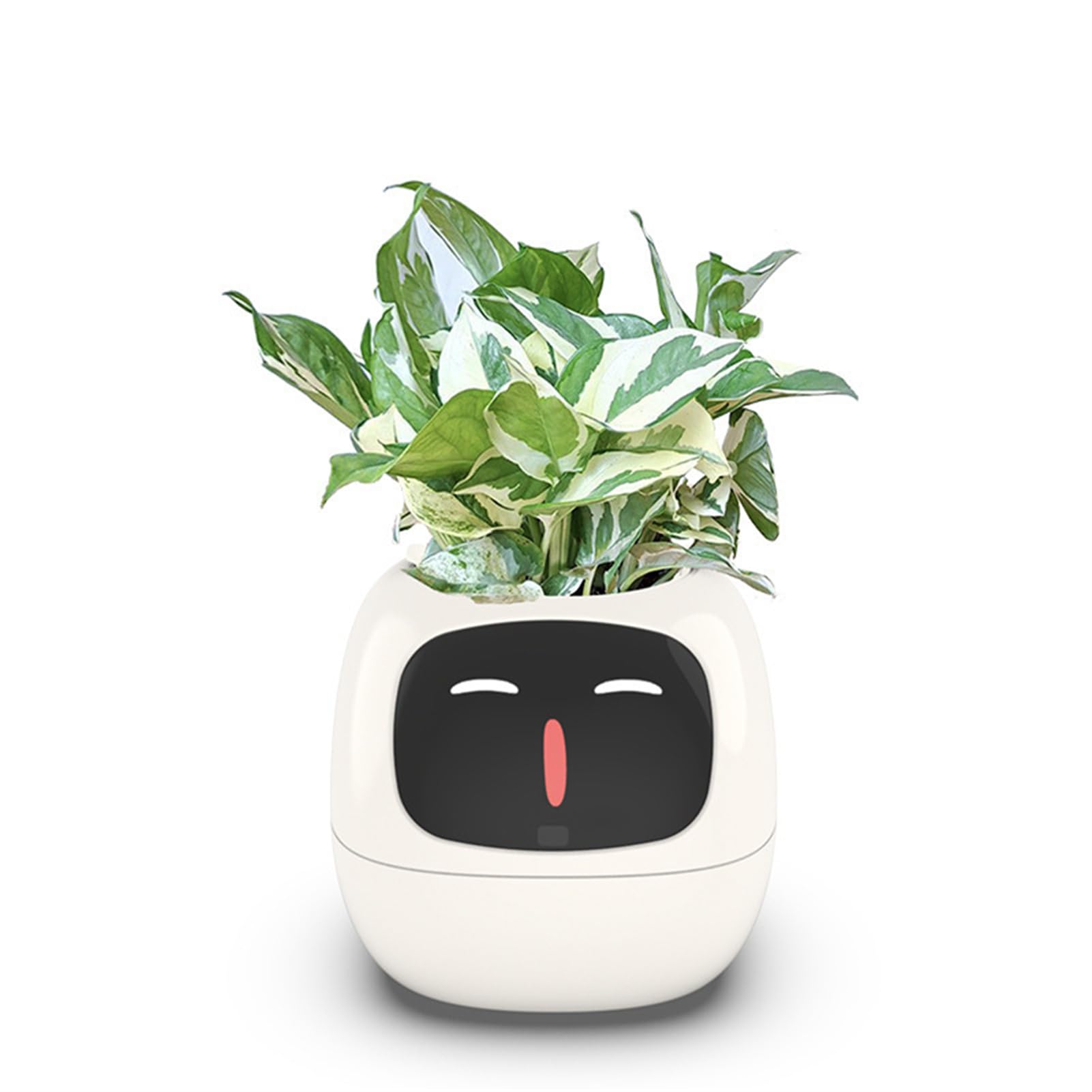 Amazon.com: FXNFXLA Smart Plant Ivy, Smart Pet Planter Robot with