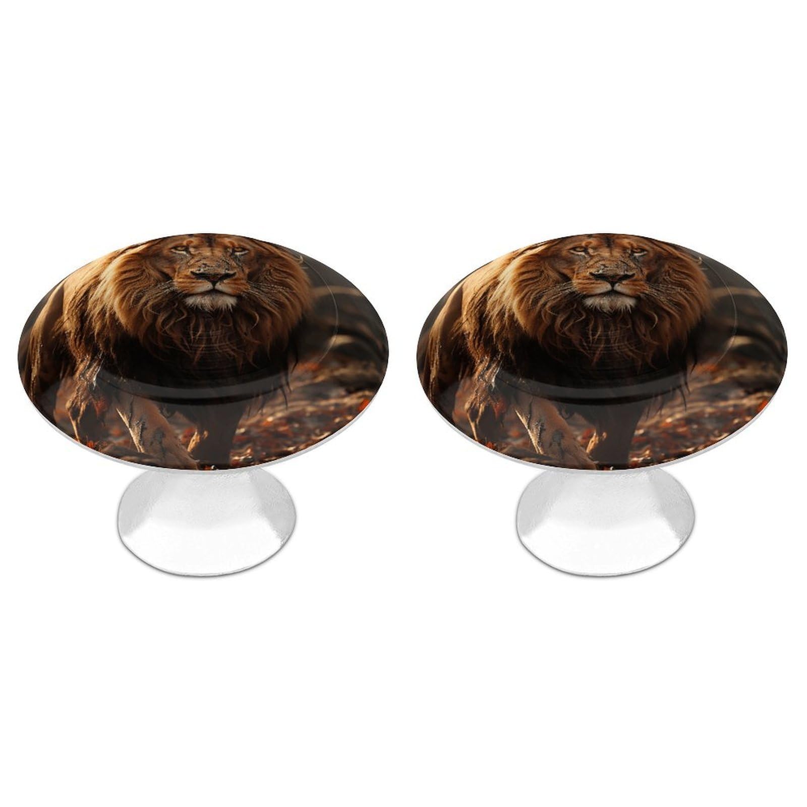 Vstadank Style Lion Image Drawer Knob Nice Bathroom Cabinet Knob Round Cabinet Pull Stainless Steel Cabinet Handle Circle Drawer Handle Modern Drawer Pull For Wardrobe Cupboard 2 Pcs