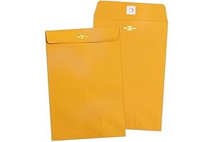 Goefun 6x9 Small Business Envelopes (100 Pack)