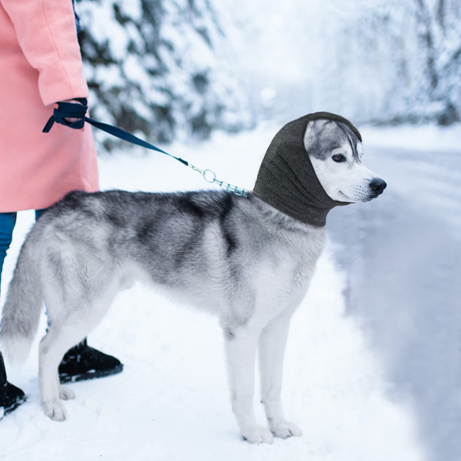 Scudi per orecchie per cani, lenitivo per animali domestici, copertura per la testa comoda e antiansia, riduzione del rumore, lavabile (S, blu, grigio)