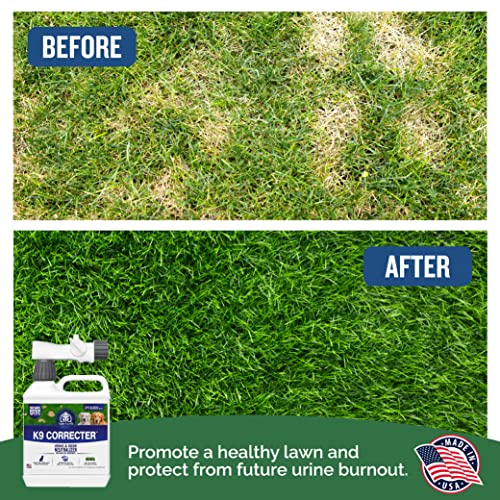 Turf Titan K9 Correcter Dog Urine Neutralizer for Lawn (32oz) Urine Neutralizer For Dogs to