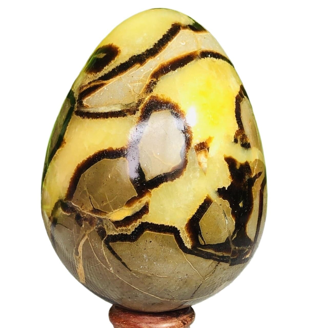 Cristal de Dragon fissuré naturel 700g : œuf en pierre de dos de tortue brut